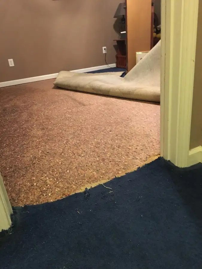 Carpet pad removal revealing water damage during Drying & Dehumidification in Erwin
